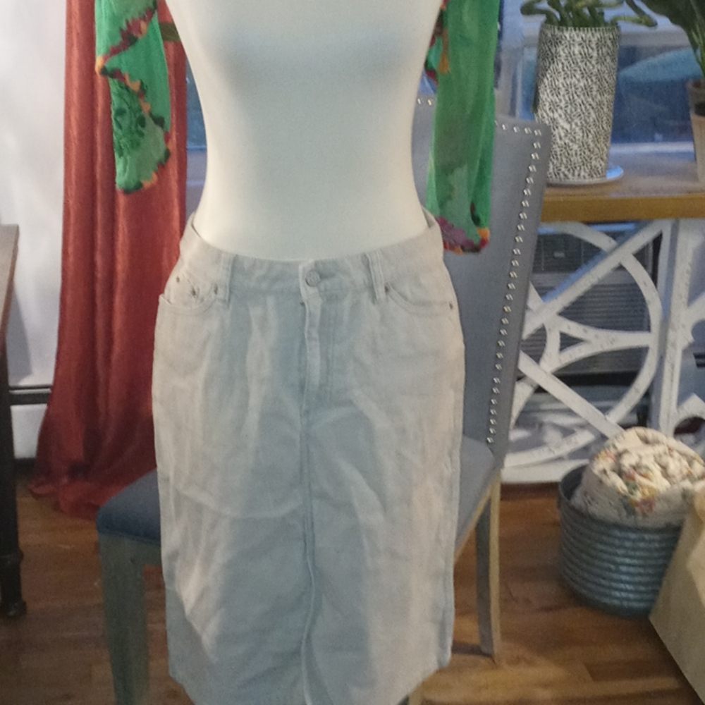 Old Navy skirt